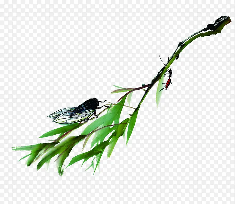 �ֻ���ɫ��Ҷ����-������