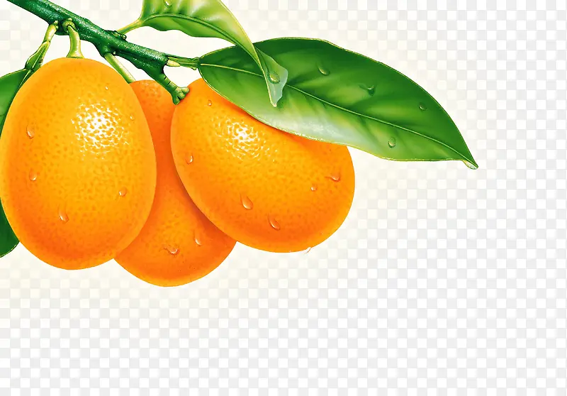 �ֻ���ɫ��Ҷˮ��-������