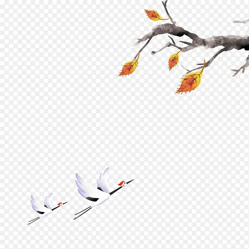 ������-������