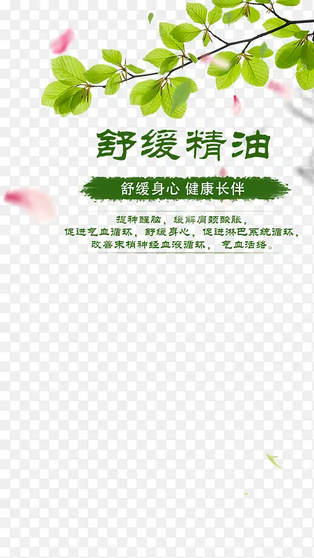 ��������Ҷ-������