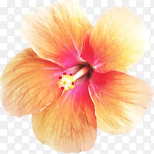 ��������ˮ�ʻ���-������