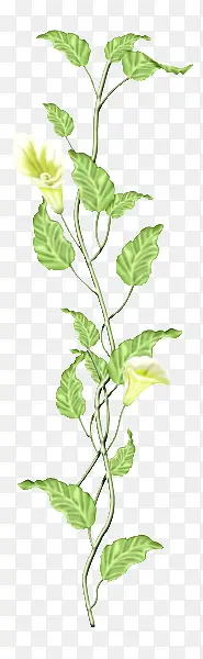 ��ɫ��������Ҷ-������