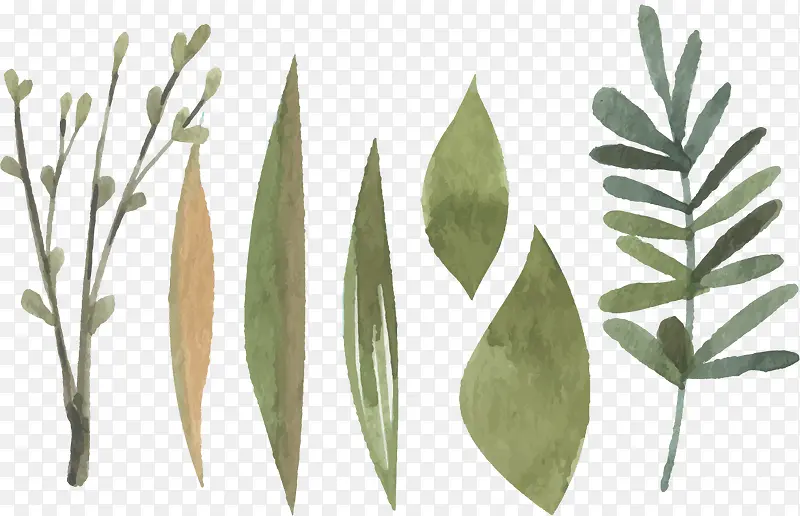 ��Ҷˮ���续�ز�-������