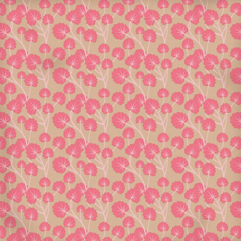 ֲ��Ҷ�ӵ��Ʊ���-������