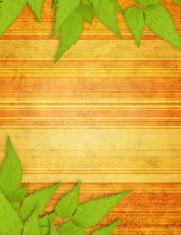 ��Ҷ��ľ�Ʊ���-������