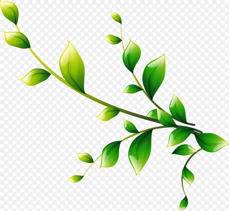 ��֦��Ҷ�ز�-������