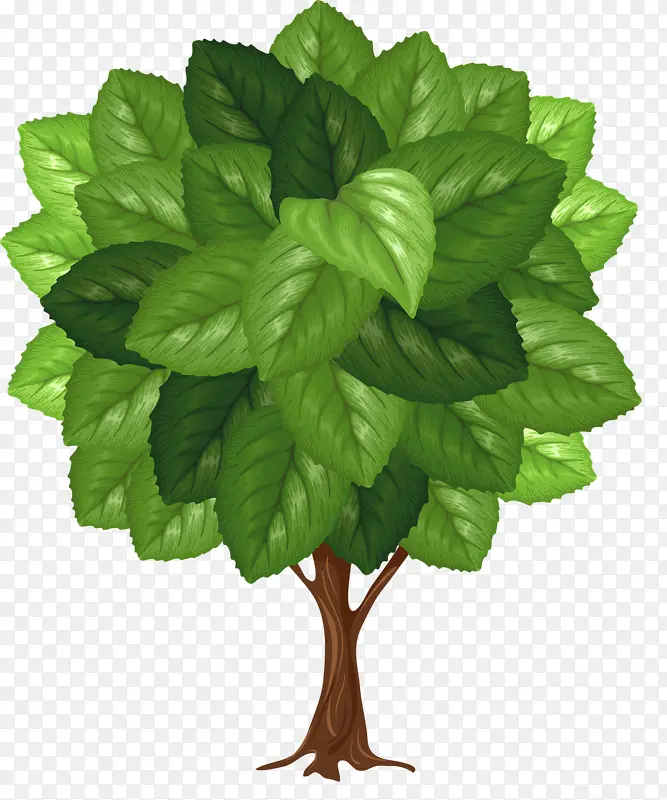 һ������Ҷ��-������