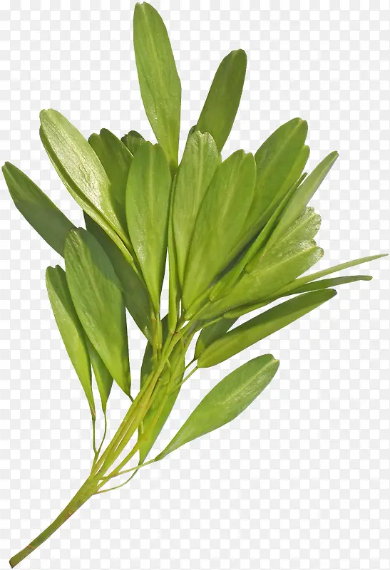 �̲�-������