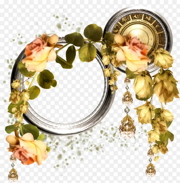 ��ɫõ�帴�����-������