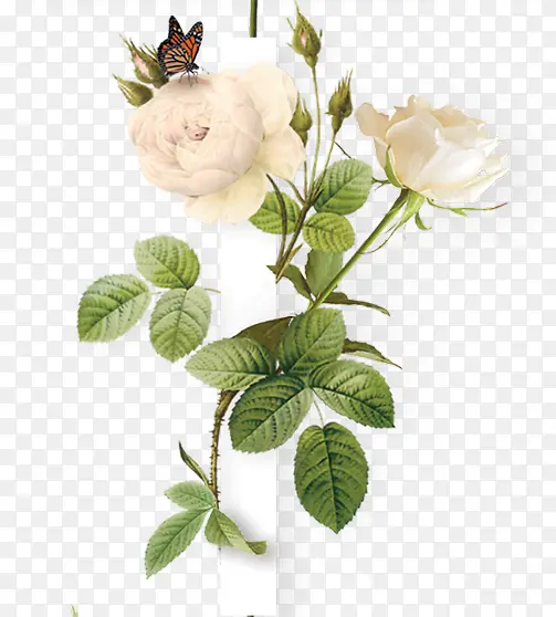 �����ɫõ�廨����-������