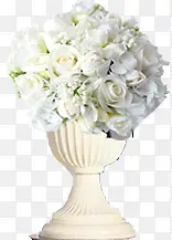 ��������ɫõ�廨-������