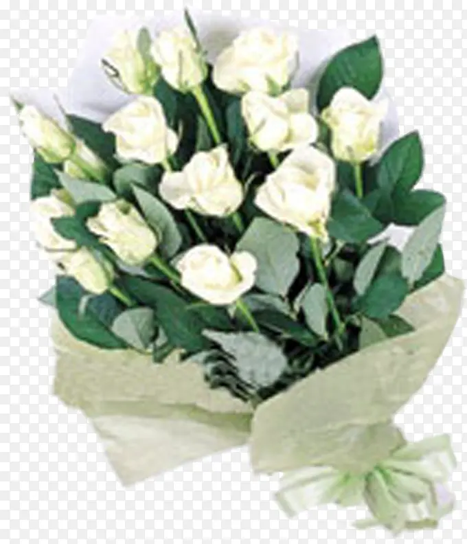 ������Ӱ��ɫõ�廨-������