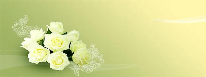 ��ɫõ�屳��-������