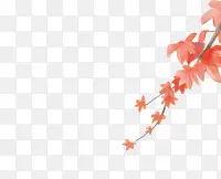 ��ɫ��֦��Ҷװ��-������