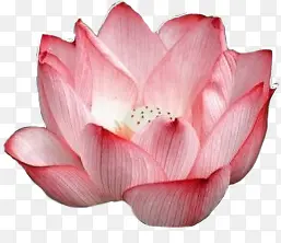 ˮ�ʺɻ��ŷ��ز�-������