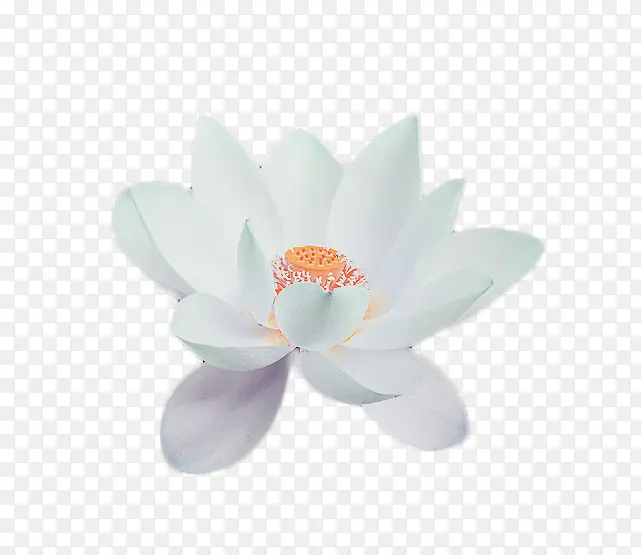 ˮ�������ŷ��ز�-������