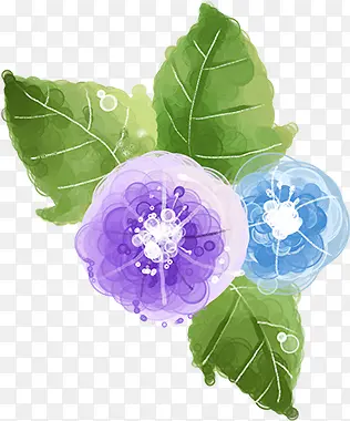 �λò�ɫ����ֲ��-������