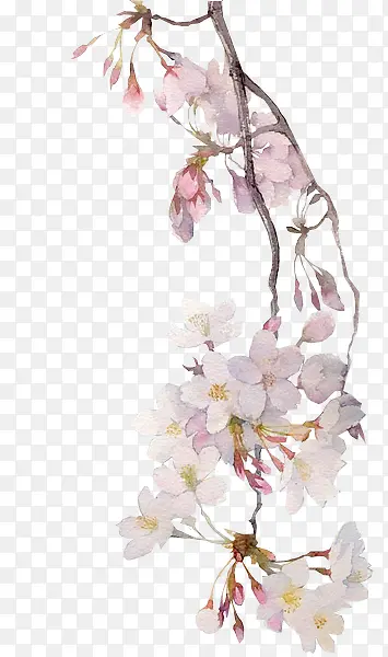 �λ�ˮ�ʻ���ֲ��-������