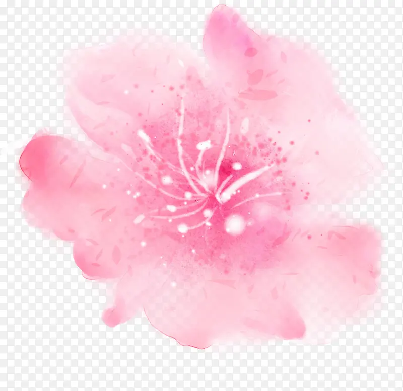 Ψ���λ�ˮ�ʻ���-������