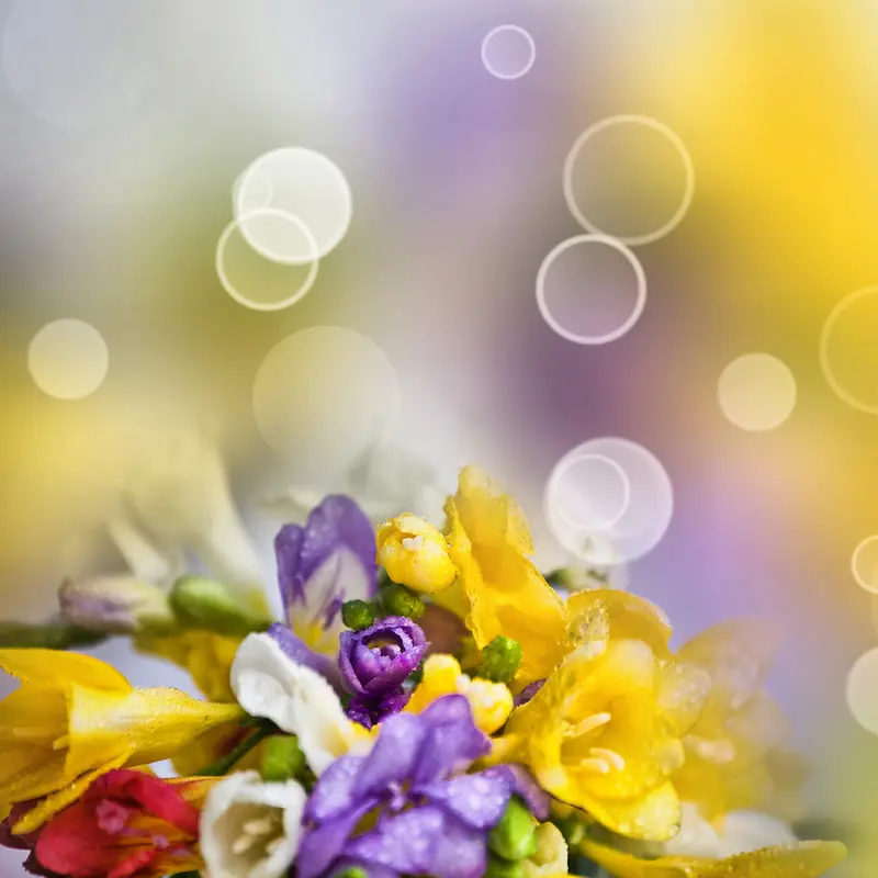 �λ��ʻ�����-������