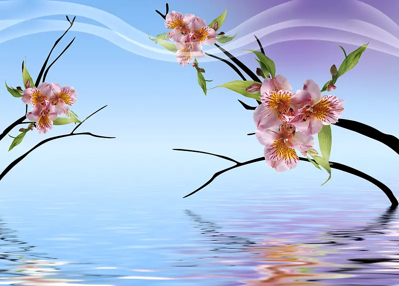 ���Ʊ����ز�-������