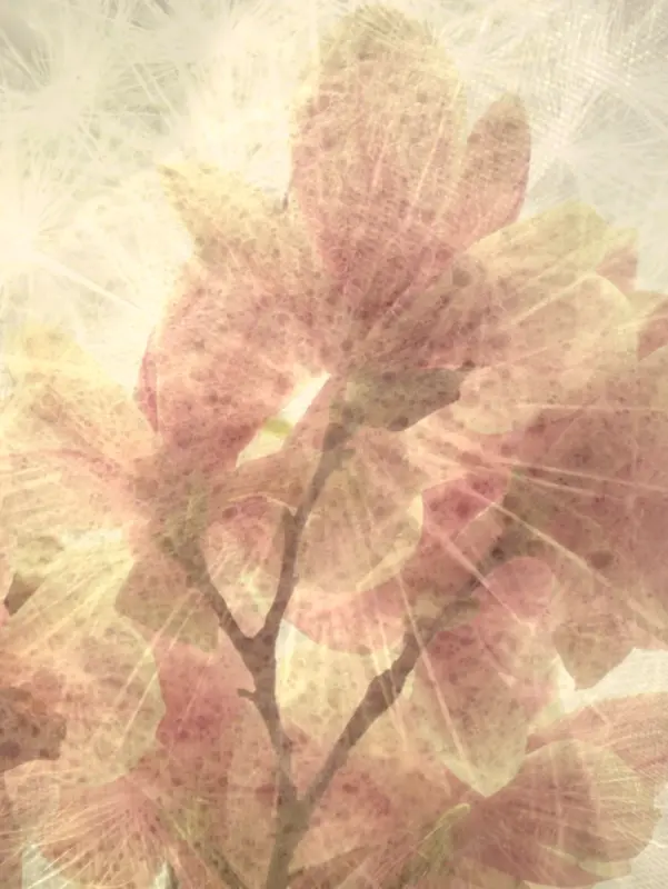 �λû��䱳��-������