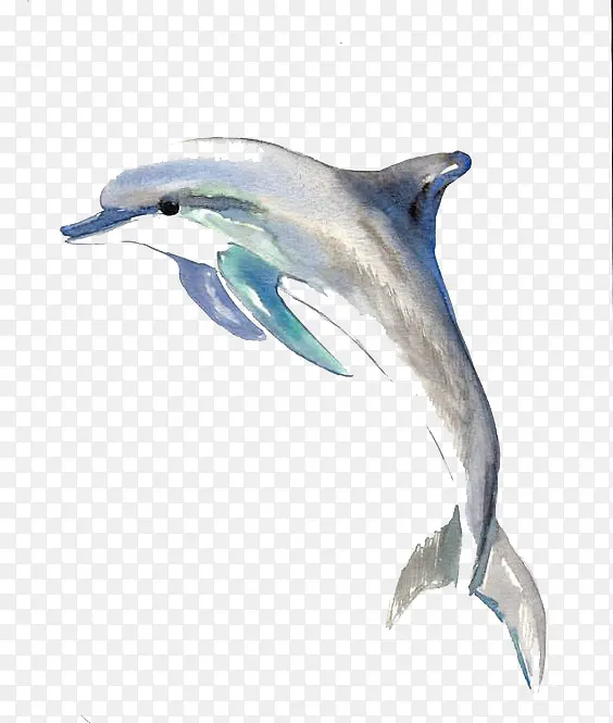 ˮ�ʺ���-������