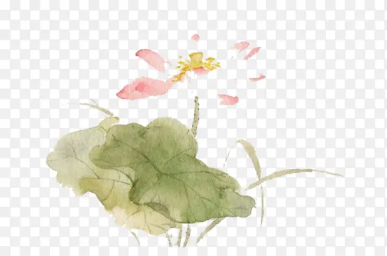 ˮ�ʺɻ�-������