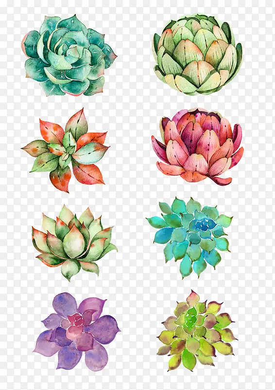 ˮ�ʺɻ�-������