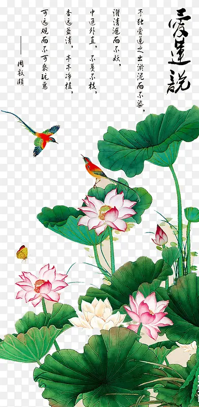 ��ͨ�ֻ�-������