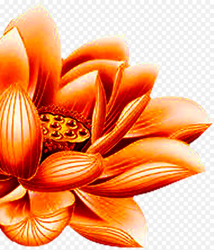 ��ɫ�ֻ�ɻ�����-������