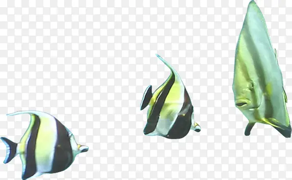 ���׶��￨ͨʱ��С��-������