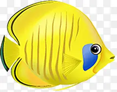 ��ɫ�ɰ���ͨС��-������