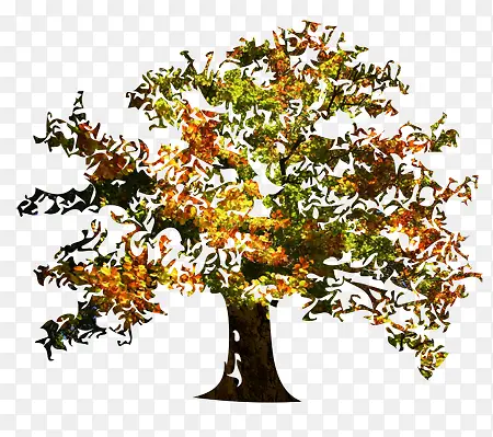 ˮ�� ��-������