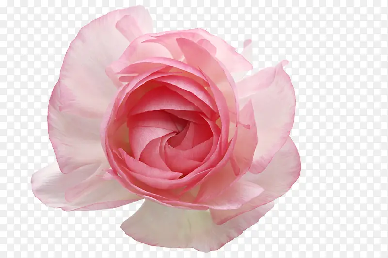 ��������زĻ����ز�-������