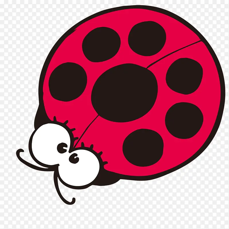 ��ͨ��ɫư��-������