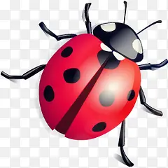 ư��-������