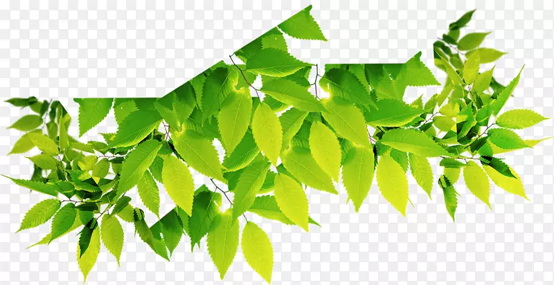 ���տյ��ͻ�����˾ά�޷ֹ�˾-������