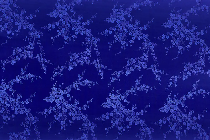 ���Ʊ�������-������