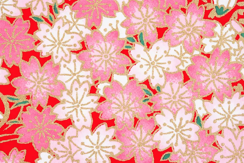 ���ϻ��Ʊ���-������