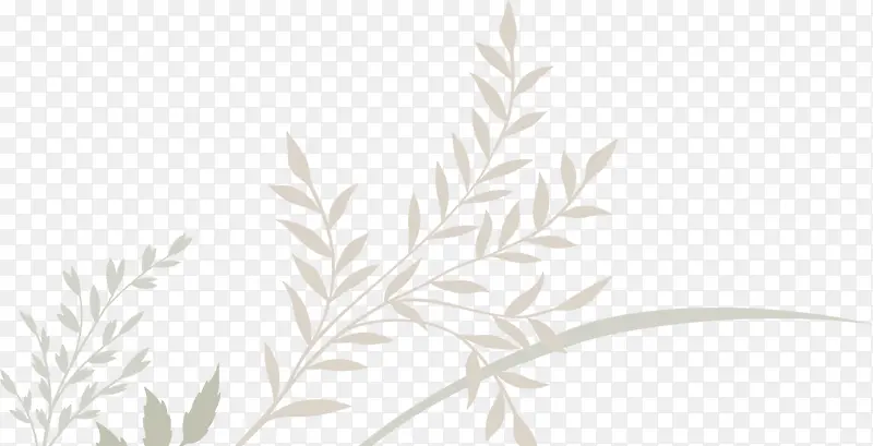 ��ɫ֦��-������