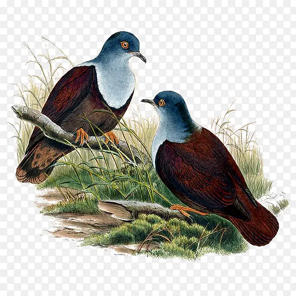 ����-������