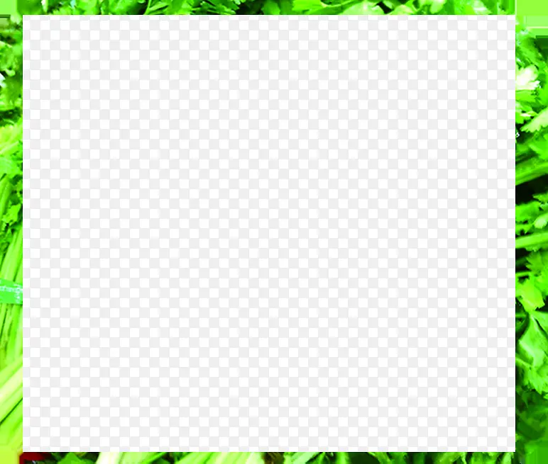 ��ɫʱ����ˬ�߿����-������