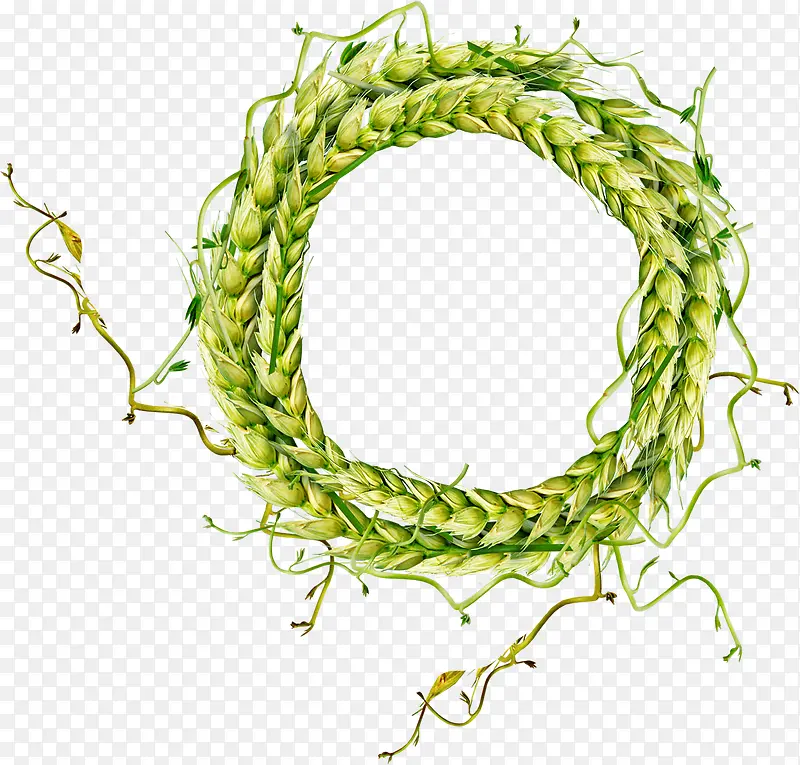 ��ɫ����߿�-������