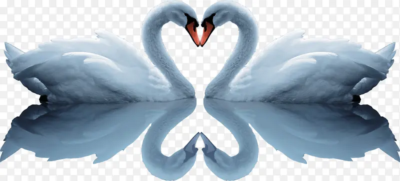 ��ɫ��찮����Ϧ-������