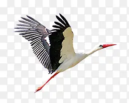 ī��춯��-������