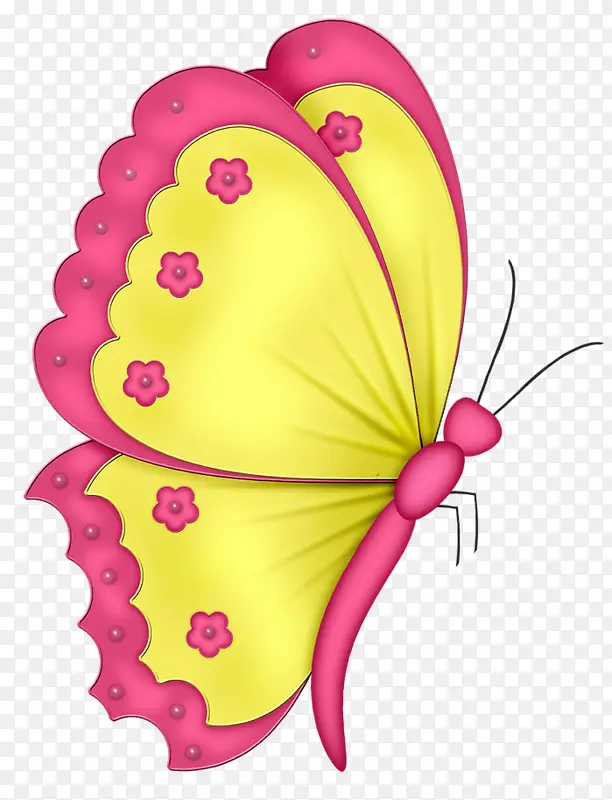 �����Ļ�����-������