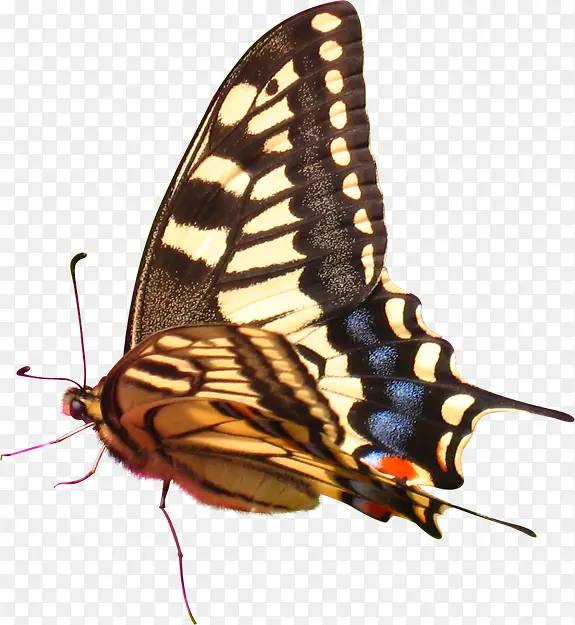 ��ɫʱ�к���װ��-������