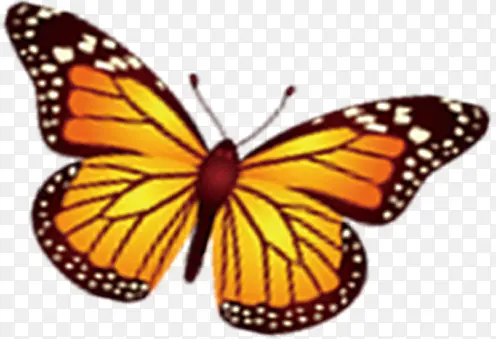 ��ɫ�ɰ���������-������