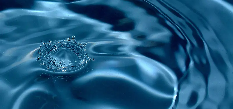 ��Ӱ����-������